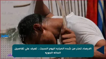 الأرصاد تحذر من شدة الحرارة اليوم السبت.. تعرف على تفاصيل الحالة الجوية